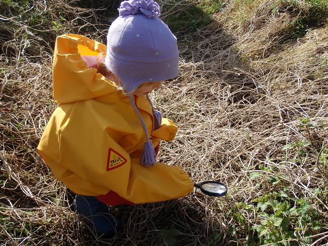 Bug hunt